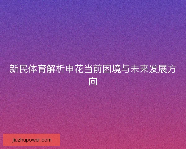 新民体育解析申花当前困境与未来发展方向